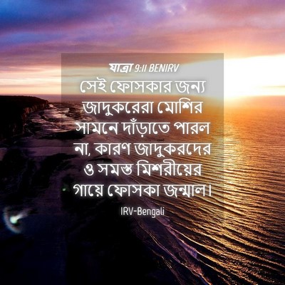 Picture 04 - যাত্ৰা 9:11 BENIRV - সেই ফোসকার জন্য - Bible Verse Picture