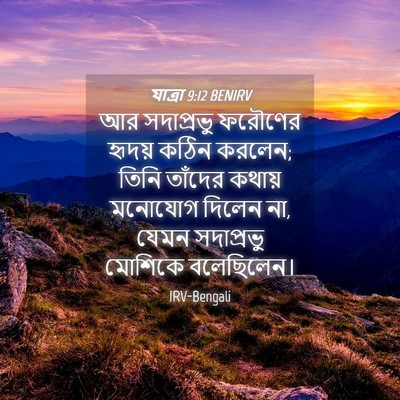 Picture 04 - যাত্ৰা 9:12 BENIRV - আর সদাপ্রভু - Bible Verse Picture
