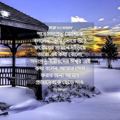 Picture 04 - যাত্ৰা 9:13 BENIRV - পরে সদাপ্রভু - Bible Verse Picture