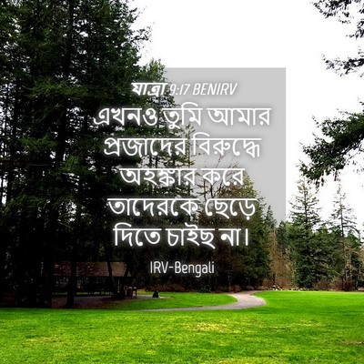 Picture 04 - যাত্ৰা 9:17 BENIRV - এখনও তুমি আমার - Bible Verse Picture