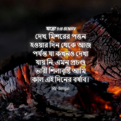 Picture 04 - যাত্ৰা 9:18 BENIRV - দেখ, মিশরের পত্তন - Bible Verse Picture