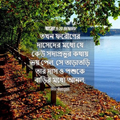 Picture 04 - যাত্ৰা 9:20 BENIRV - তখন ফরৌণের - Bible Verse Picture