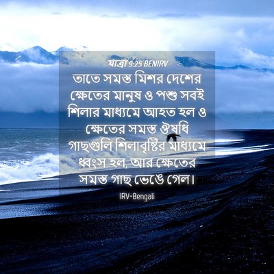 Picture 04 - যাত্ৰা 9:25 BENIRV - তাতে সমস্ত মিশর - Bible Verse Picture