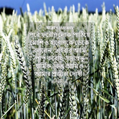 Picture 04 - যাত্ৰা 9:27 BENIRV - পরে ফরৌণ লোক - Bible Verse Picture