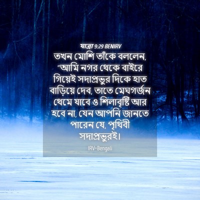 Picture 04 - যাত্ৰা 9:29 BENIRV - তখন মোশি তাঁকে - Bible Verse Picture
