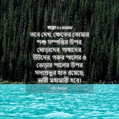 Picture 04 - যাত্ৰা 9:3 BENIRV - তবে দেখ, ক্ষেতের - Bible Verse Picture