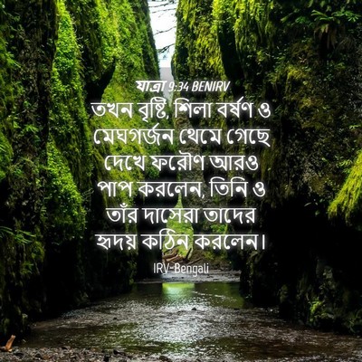 Picture 04 - যাত্ৰা 9:34 BENIRV - তখন বৃষ্টি, শিলা - Bible Verse Picture
