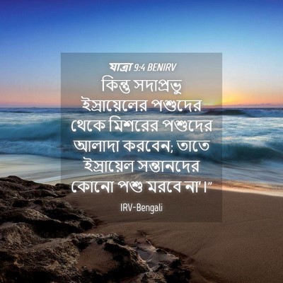 Picture 04 - যাত্ৰা 9:4 BENIRV - কিন্তু সদাপ্রভু - Bible Verse Picture