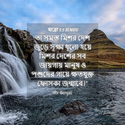 Picture 04 - যাত্ৰা 9:9 BENIRV - তা সমস্ত মিশর দেশ - Bible Verse Picture