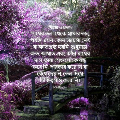 Picture 04 - যিচয়া 1:6 BENIRV - পায়ের তলা থেকে - Bible Verse Picture