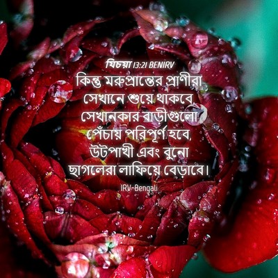 Picture 04 - যিচয়া 13:21 BENIRV - কিন্তু - Bible Verse Picture
