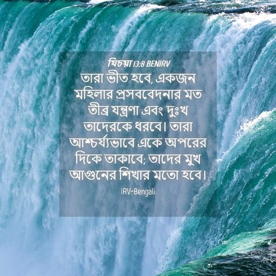Picture 04 - যিচয়া 13:8 BENIRV - তারা ভীত হবে, একজন - Bible Verse Picture