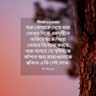 Picture 04 - যিচয়া 14:16 BENIRV - যারা তোমাকে দেখে - Bible Verse Picture