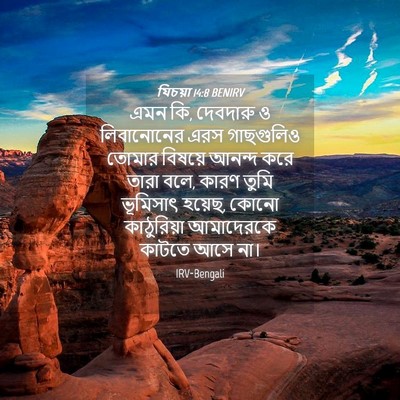 Picture 04 - যিচয়া 14:8 BENIRV - এমন কি, দেবদারু ও - Bible Verse Picture