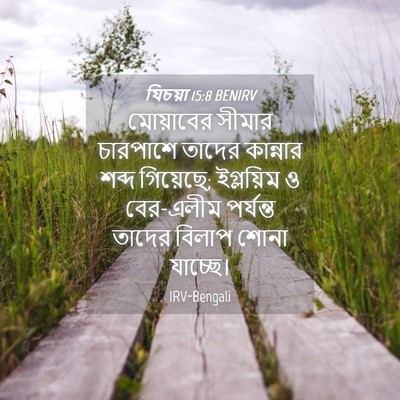 Picture 04 - যিচয়া 15:8 BENIRV - মোয়াবের সীমার - Bible Verse Picture