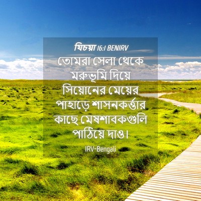 Picture 04 - যিচয়া 16:1 BENIRV - তোমরা সেলা থেকে - Bible Verse Picture