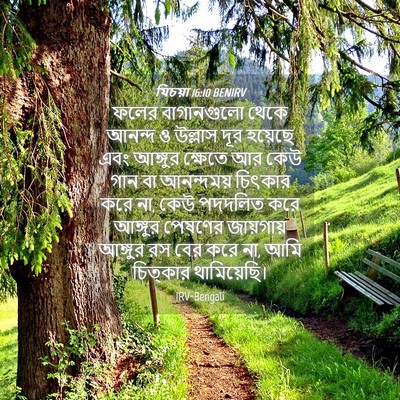 Picture 04 - যিচয়া 16:10 BENIRV - ফলের বাগানগুলো - Bible Verse Picture