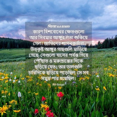 Picture 04 - যিচয়া 16:8 BENIRV - কারণ হিশবোনের - Bible Verse Picture