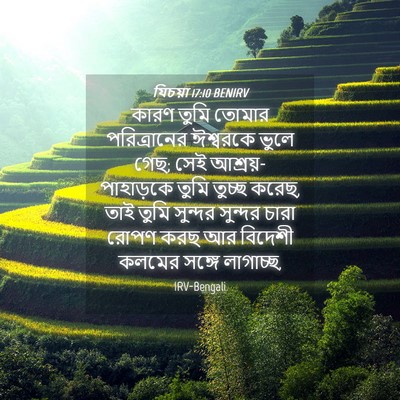 Picture 04 - যিচয়া 17:10 BENIRV - কারণ তুমি তোমার - Bible Verse Picture
