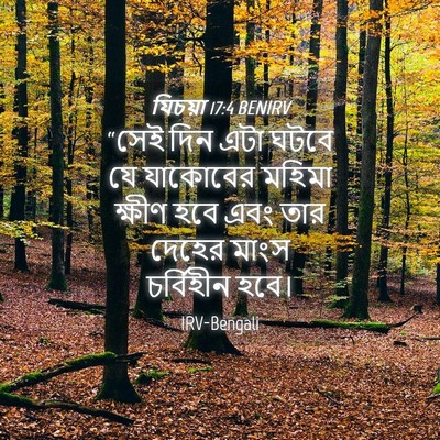 Picture 04 - যিচয়া 17:4 BENIRV - “সেই দিন এটা ঘটবে - Bible Verse Picture