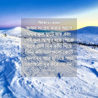 Picture 04 - যিচয়া 18:5 BENIRV - ফসল সংগ্রহ করার - Bible Verse Picture