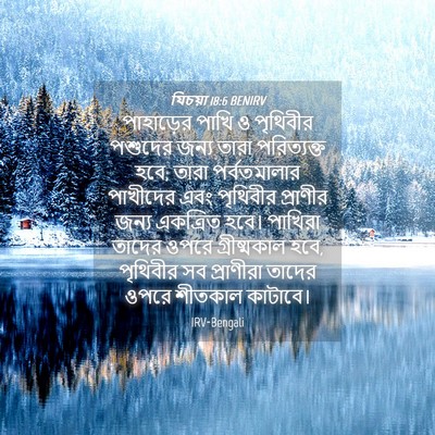 Picture 04 - যিচয়া 18:6 BENIRV - পাহাড়ের পাখি ও - Bible Verse Picture