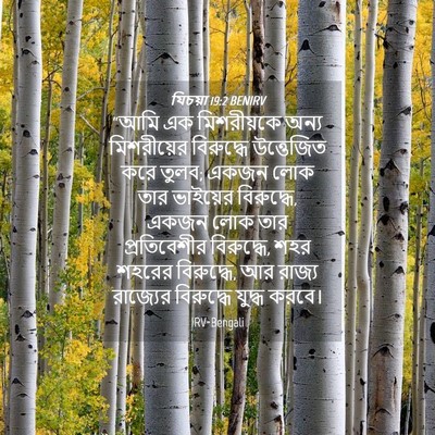 Picture 04 - যিচয়া 19:2 BENIRV - “আমি এক মিশরীয়কে - Bible Verse Picture