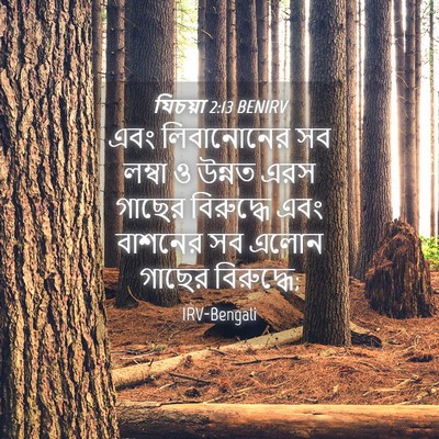 Picture 04 - যিচয়া 2:13 BENIRV - এবং লিবানোনের সব - Bible Verse Picture