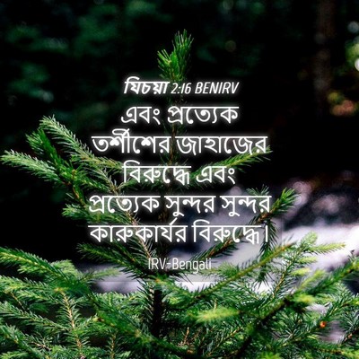 Picture 04 - যিচয়া 2:16 BENIRV - এবং প্রত্যেক - Bible Verse Picture