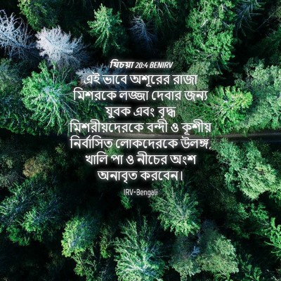 Picture 04 - যিচয়া 20:4 BENIRV - এই ভাবে অশূরের - Bible Verse Picture