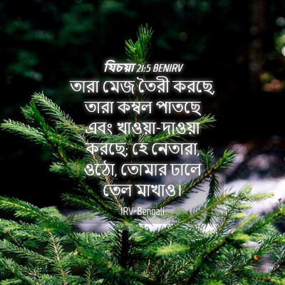 Picture 04 - যিচয়া 21:5 BENIRV - তারা মেজ তৈরী করছে, - Bible Verse Picture