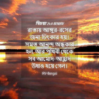 Picture 04 - যিচয়া 24:11 BENIRV - রাস্তায় - Bible Verse Picture