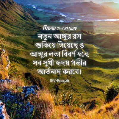 Picture 04 - যিচয়া 24:7 BENIRV - নতুন আঙ্গুর রস - Bible Verse Picture
