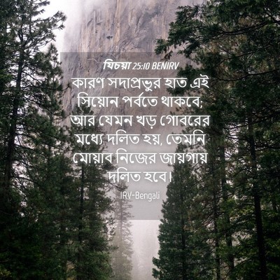Picture 04 - যিচয়া 25:10 BENIRV - কারণ সদাপ্রভুর - Bible Verse Picture