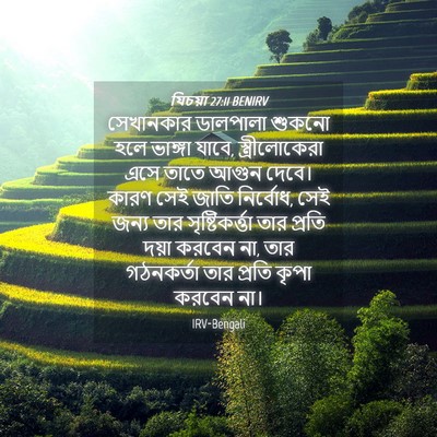 Picture 04 - যিচয়া 27:11 BENIRV - সেখানকার ডালপালা - Bible Verse Picture