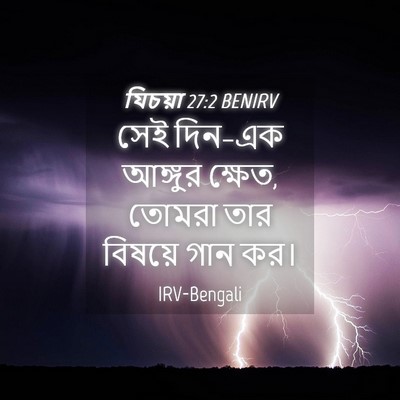 Picture 04 - যিচয়া 27:2 BENIRV - সেই দিন–এক আঙ্গুর - Bible Verse Picture