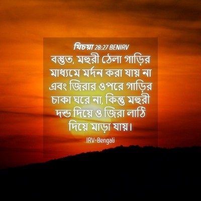 Picture 04 - যিচয়া 28:27 BENIRV - বস্তুত, মহুরী ঠেলা - Bible Verse Picture