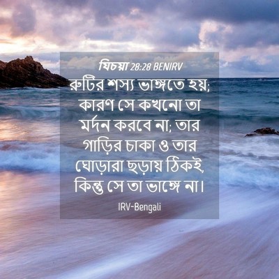 Picture 04 - যিচয়া 28:28 BENIRV - রুটির শস্য - Bible Verse Picture