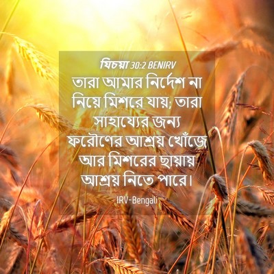 Picture 04 - যিচয়া 30:2 BENIRV - তারা আমার নির্দেশ - Bible Verse Picture