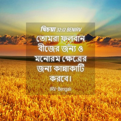 Picture 04 - যিচয়া 32:12 BENIRV - তোমরা ফলবান বীজের - Bible Verse Picture