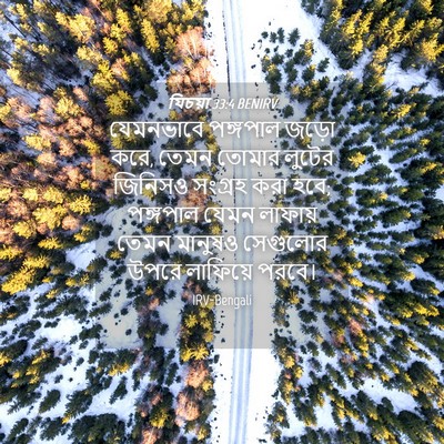 Picture 04 - যিচয়া 33:4 BENIRV - যেমনভাবে পঙ্গপাল - Bible Verse Picture