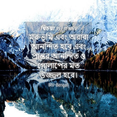 Picture 04 - যিচয়া 35:1 BENIRV - মরুভূমি এবং অরাবা - Bible Verse Picture