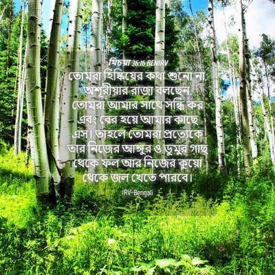 Picture 04 - যিচয়া 36:16 BENIRV - তোমরা হিষ্কিয়ের - Bible Verse Picture