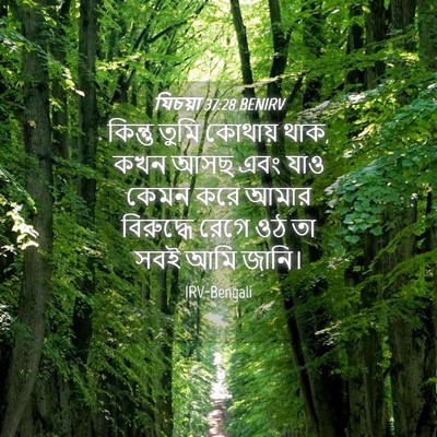 Picture 04 - যিচয়া 37:28 BENIRV - কিন্তু তুমি - Bible Verse Picture