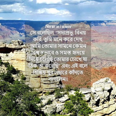 Picture 04 - যিচয়া 38:3 BENIRV - সে বলেছিল, - Bible Verse Picture