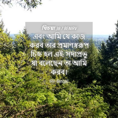 Picture 04 - যিচয়া 38:7 BENIRV - এবং আমি যে কাজ করব - Bible Verse Picture