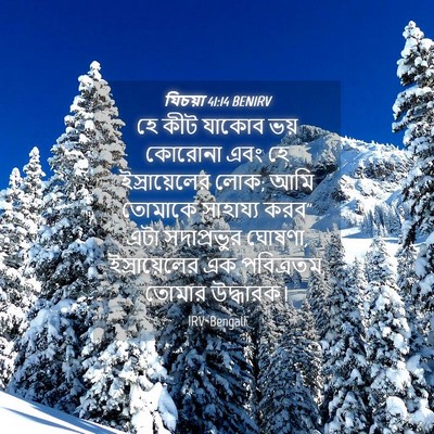 Picture 04 - যিচয়া 41:14 BENIRV - হে কীট যাকোব ভয় - Bible Verse Picture