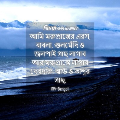 Picture 04 - যিচয়া 41:19 BENIRV - আমি মরুপ্রান্তের - Bible Verse Picture