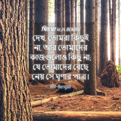 Picture 04 - যিচয়া 41:24 BENIRV - দেখ, তোমরা কিছুই - Bible Verse Picture