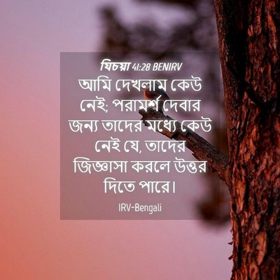 Picture 04 - যিচয়া 41:28 BENIRV - আমি দেখলাম কেউ নেই; - Bible Verse Picture